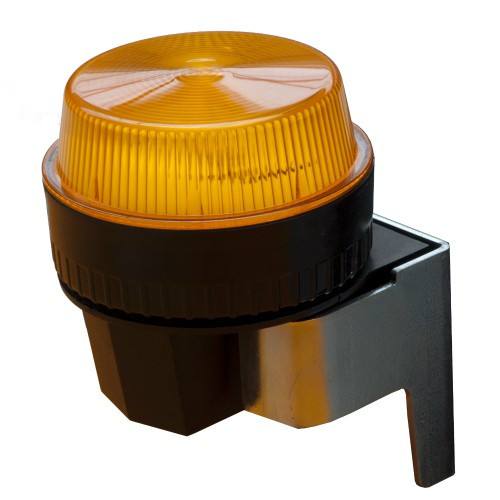 7508028.jpg