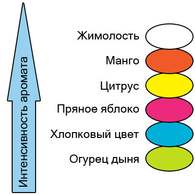 Сетка для писсуара FrePro Wave (Хлопковый цвет), Арт.F05